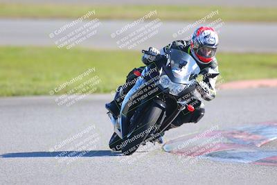 media/Jan-20-2023-Fastrack Riders (Fri) [[f2ad32aba3]]/Level 1/session 5 turn 13/